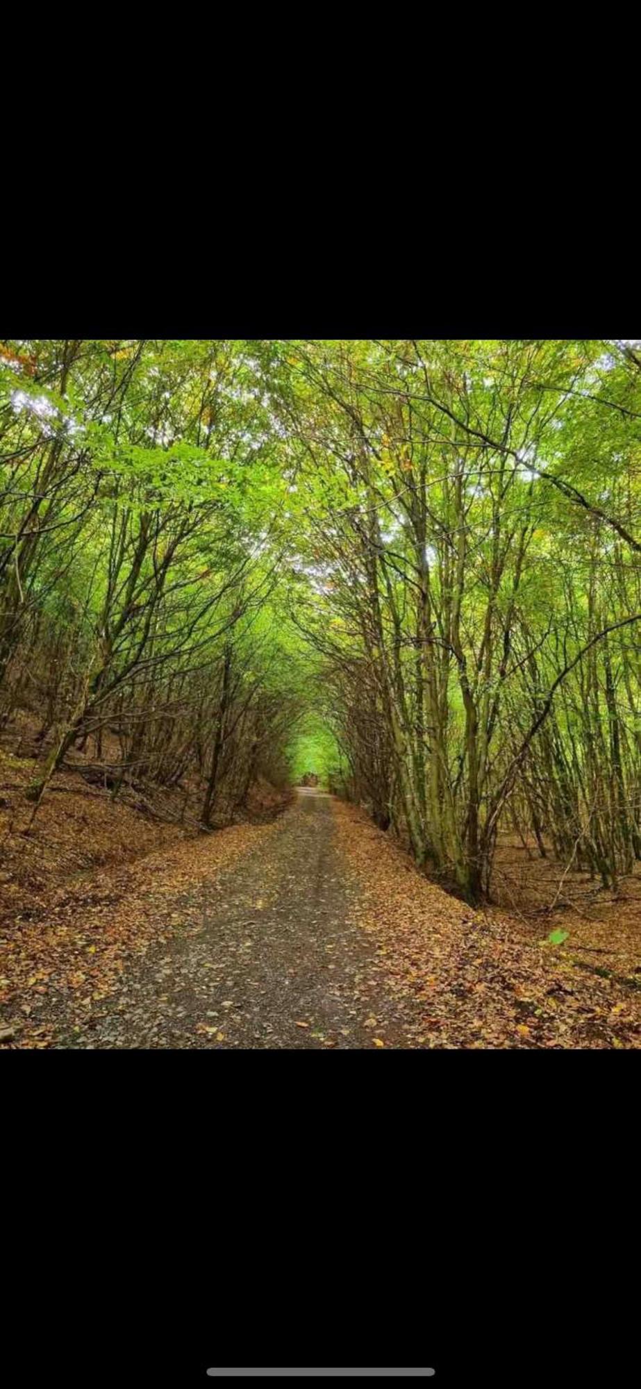 Se Relaxer Dans La Vallee Hombourg-Haut Экстерьер фото